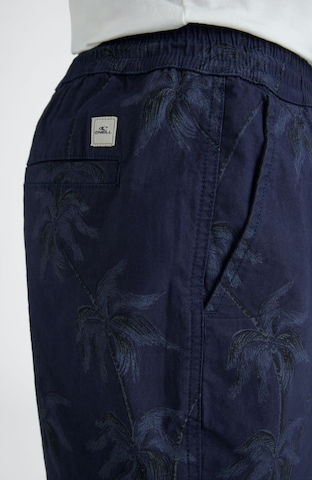 O'NEILL Loosefit Broek 'Tasman' in Blauw