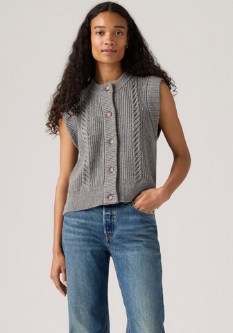 LEVI'S ® Knitted Vest in Grey: front