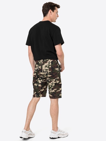 DICKIES Regular Shorts in Grün