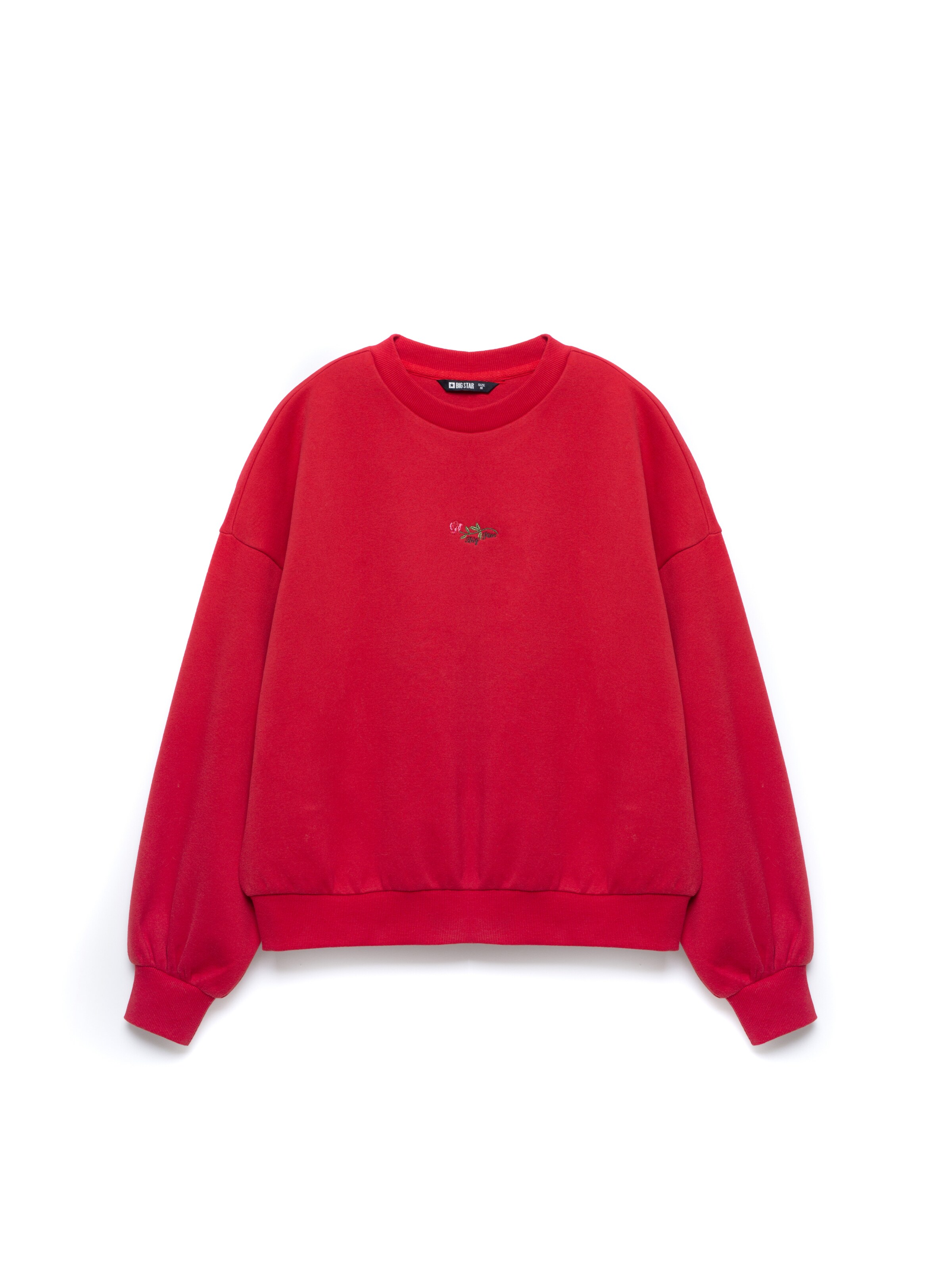 Felpa 'MARIKA' di BIG STAR in rosso: frontale