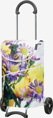 Trolley 'Scala Shopper MIX A10 ' di Andersen Shopper in colori misti: frontale