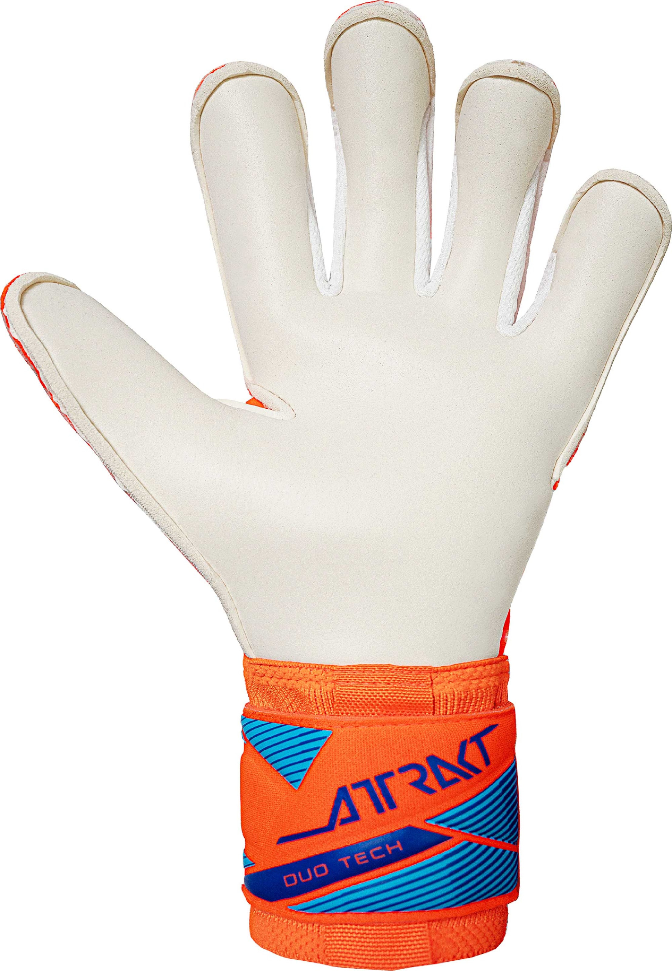 REUSCH Sporthandschoenen 'Attrakt Duo Evolution' in Blauw
