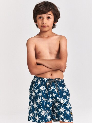 Shiwi Zwemshorts in Blauw: voorkant