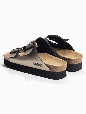 Bayton Mule 'JAPET' in Gold