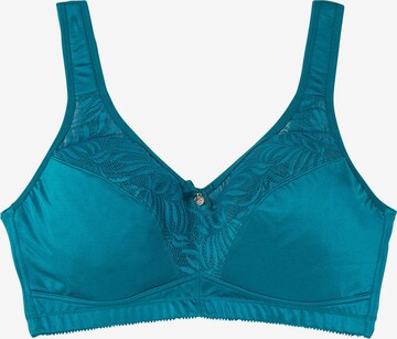 SHEEGO Bra in Blue