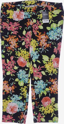 Peter Hahn Pants in 4XL in Mixed colors: front