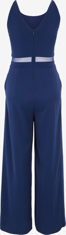 Vera Mont Jumpsuit in Blauw