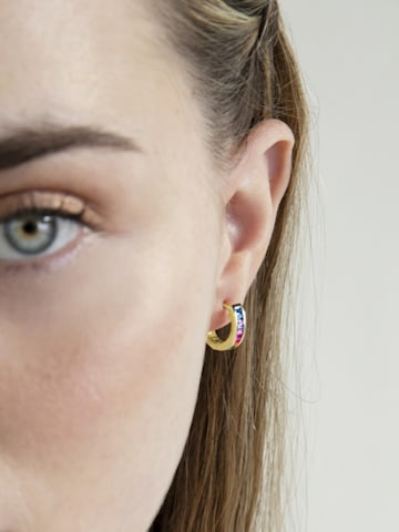 Boucles d'oreilles 'Tuhato' Luxenter en mélange de couleurs