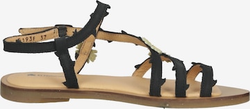 EL NATURALISTA Strap Sandals in Black