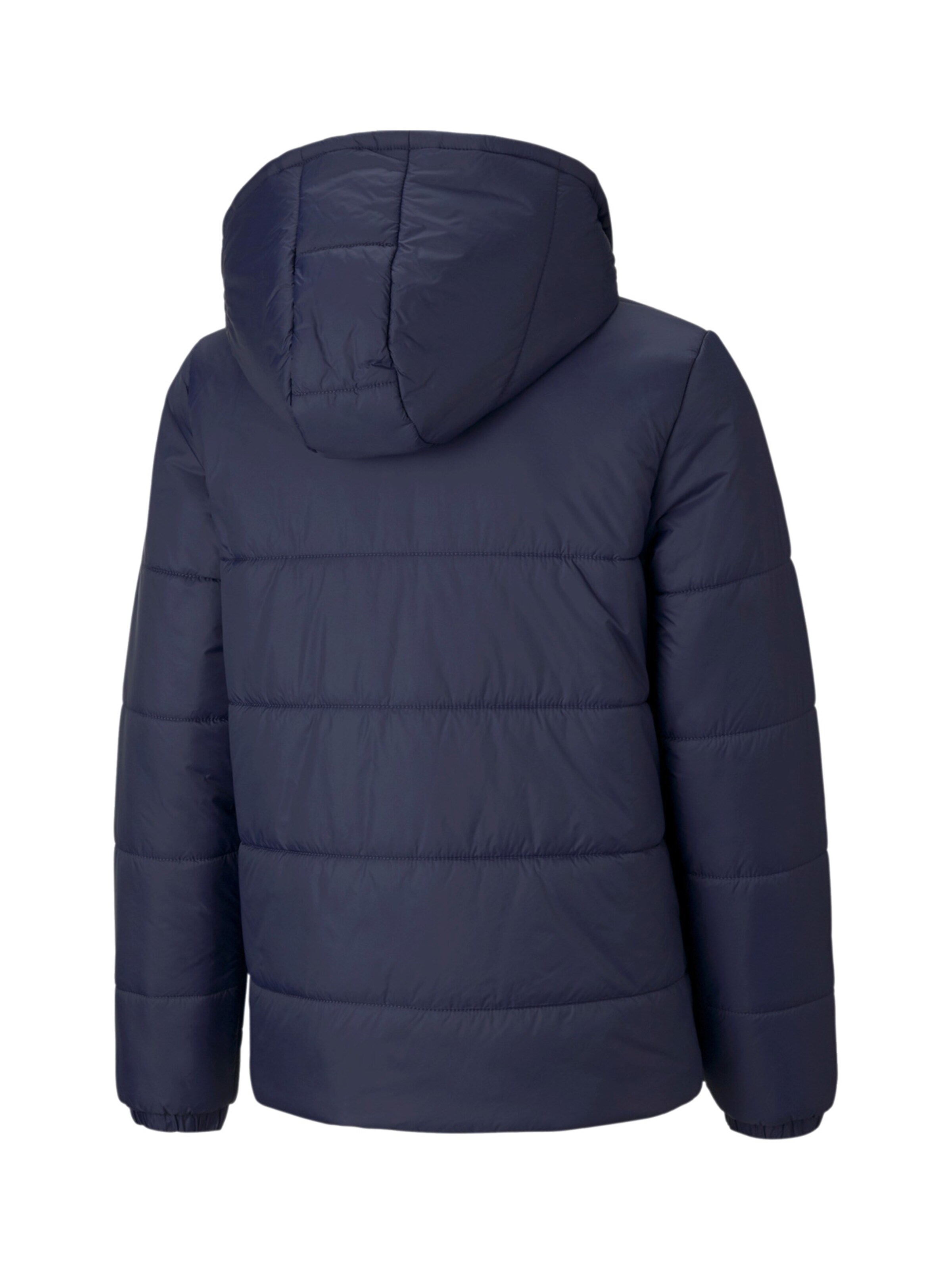 Veste de sport 'TeamLiga' PUMA en bleu