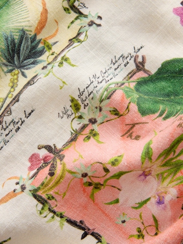 Next Top - vegyes színek