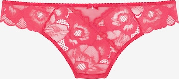 LASCANA Thong in Pink: front