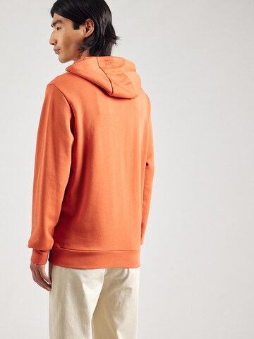 Hackett London Sweatshirt i orange: baksida
