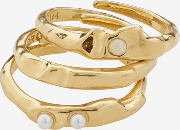Pilgrim Ring 'TRUST' in Gold: front