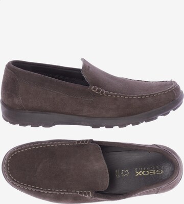 GEOX Flats & Loafers in 42,5 in Brown: front