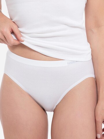 SPEIDEL Slip 'bio.cotton Sport Edition'‌‌‌‌‌‌‌ in Weiß