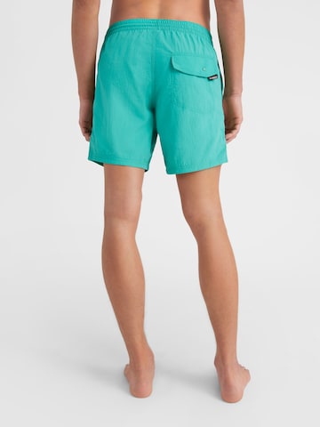 Pantaloni de baie 'Vert' de la O'NEILL pe albastru