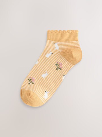 smėlio Next Kojinės