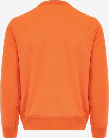 CELOCIA Pullover in Orange