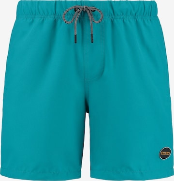 Pantaloncini da bagno di Shiwi in blu: frontale