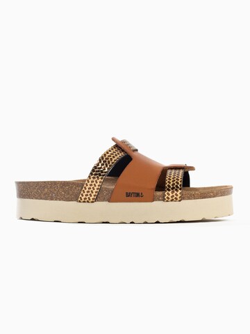 Bayton Mules 'Lecce' in Brown