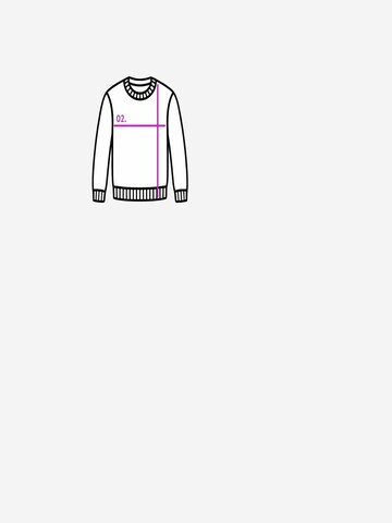 MixRayPulover 'Pullover' - bijela boja