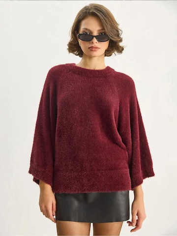 Bianco LucciPulover 'Pullover' - crvena boja: prednji dio