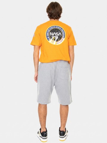 DICKIES Baggy Hose 'Mapleton'‌‌‌‌ in Grau