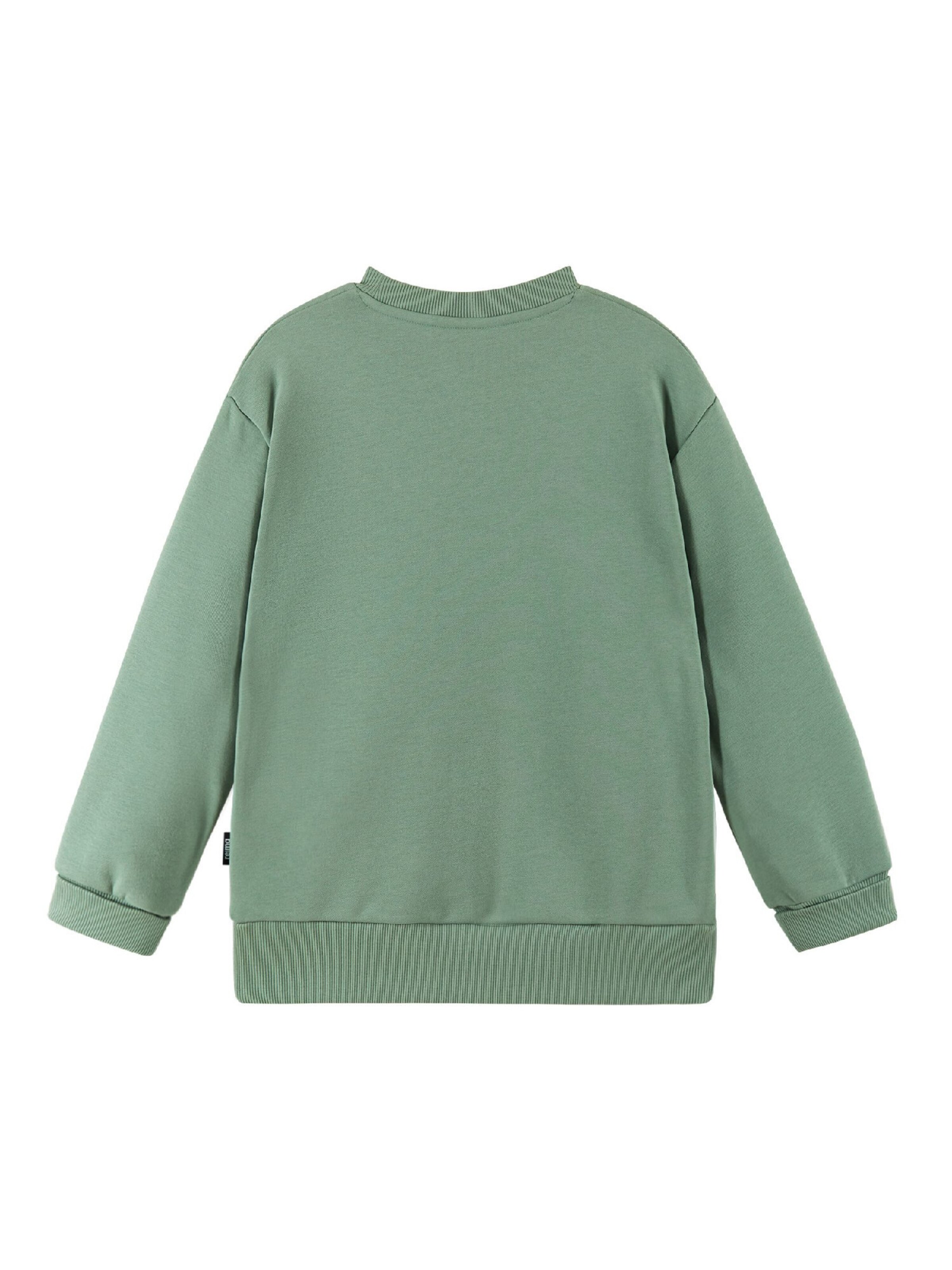 Reima Sweatshirt ' Collari ' in Grün