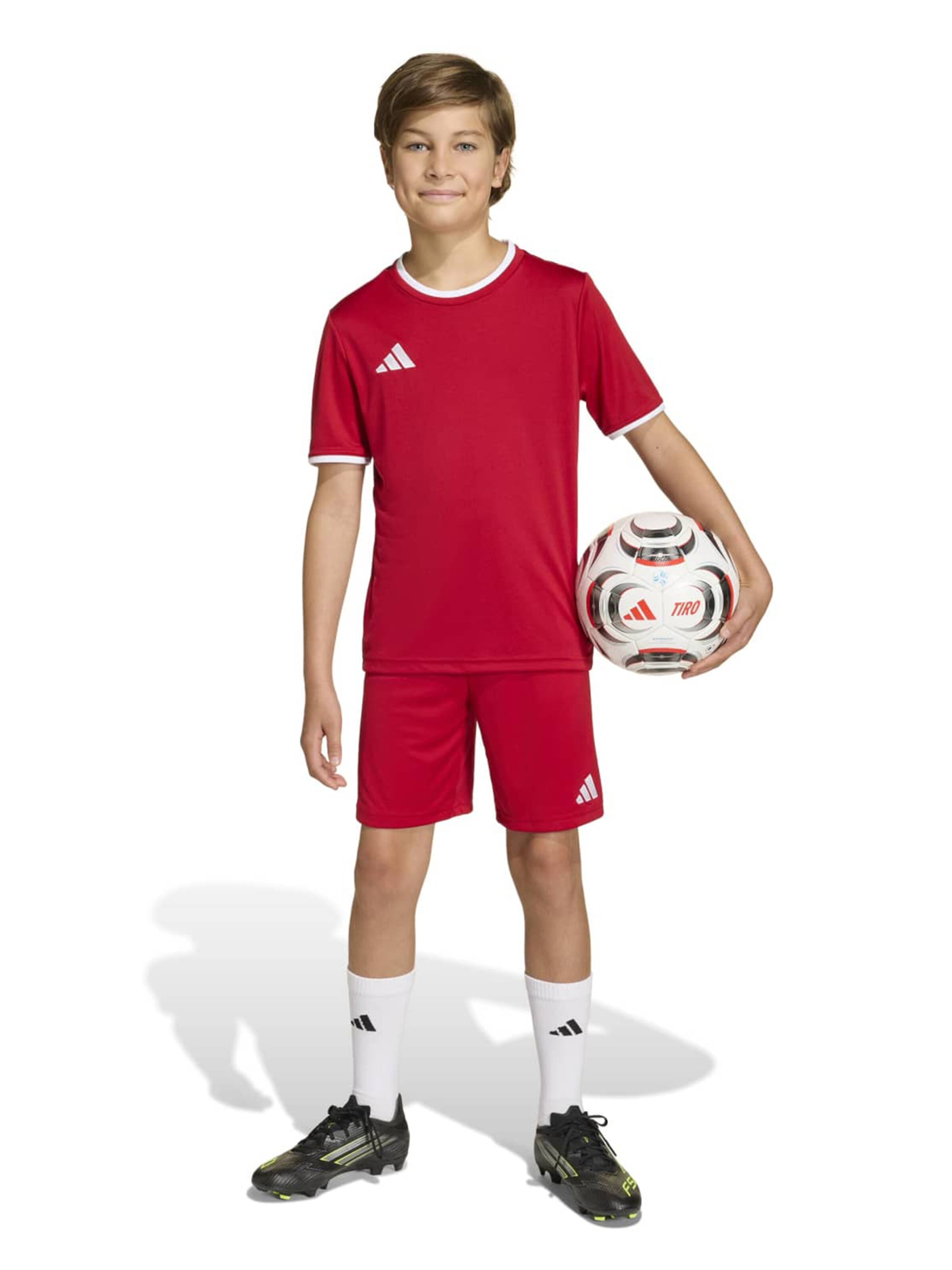 ADIDAS PERFORMANCE tavaline Spordipüksid 'ENT26', värv punane