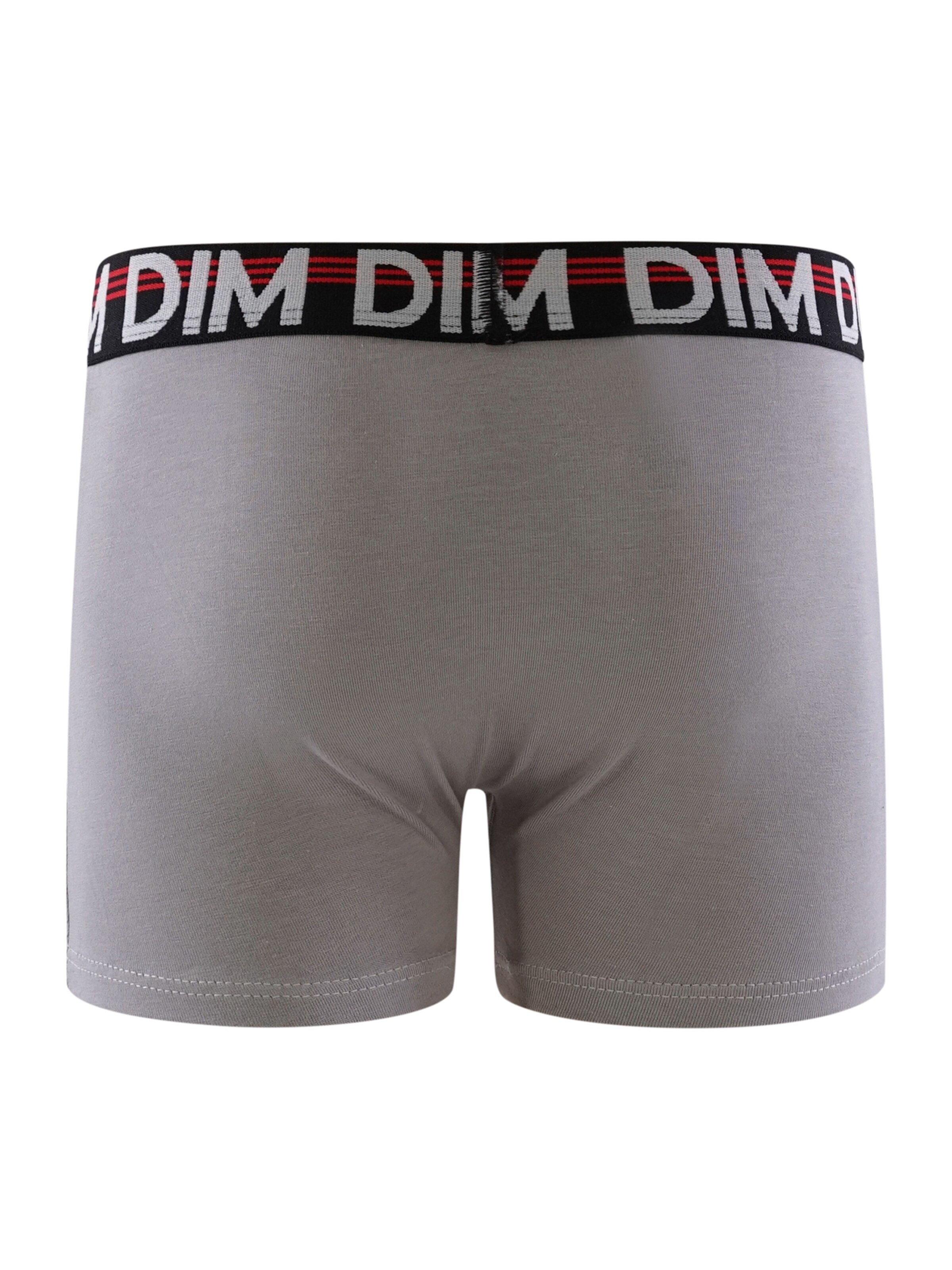 DIM Underpants in Grey