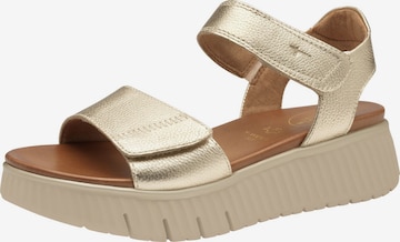 Sandalo di Tamaris Comfort in oro: frontale