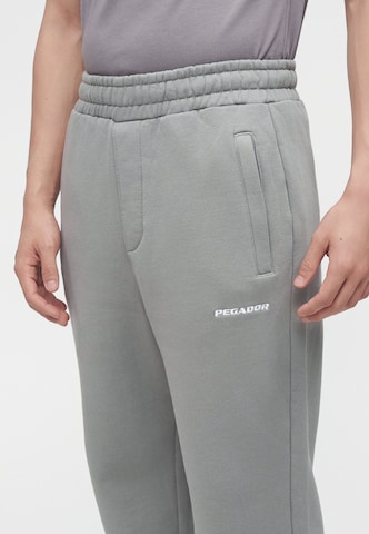 Largi Pantaloni de la Pegador pe gri