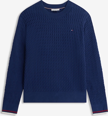 Tommy Hilfiger Curve Neulepaita värissä sininen: etupuoli