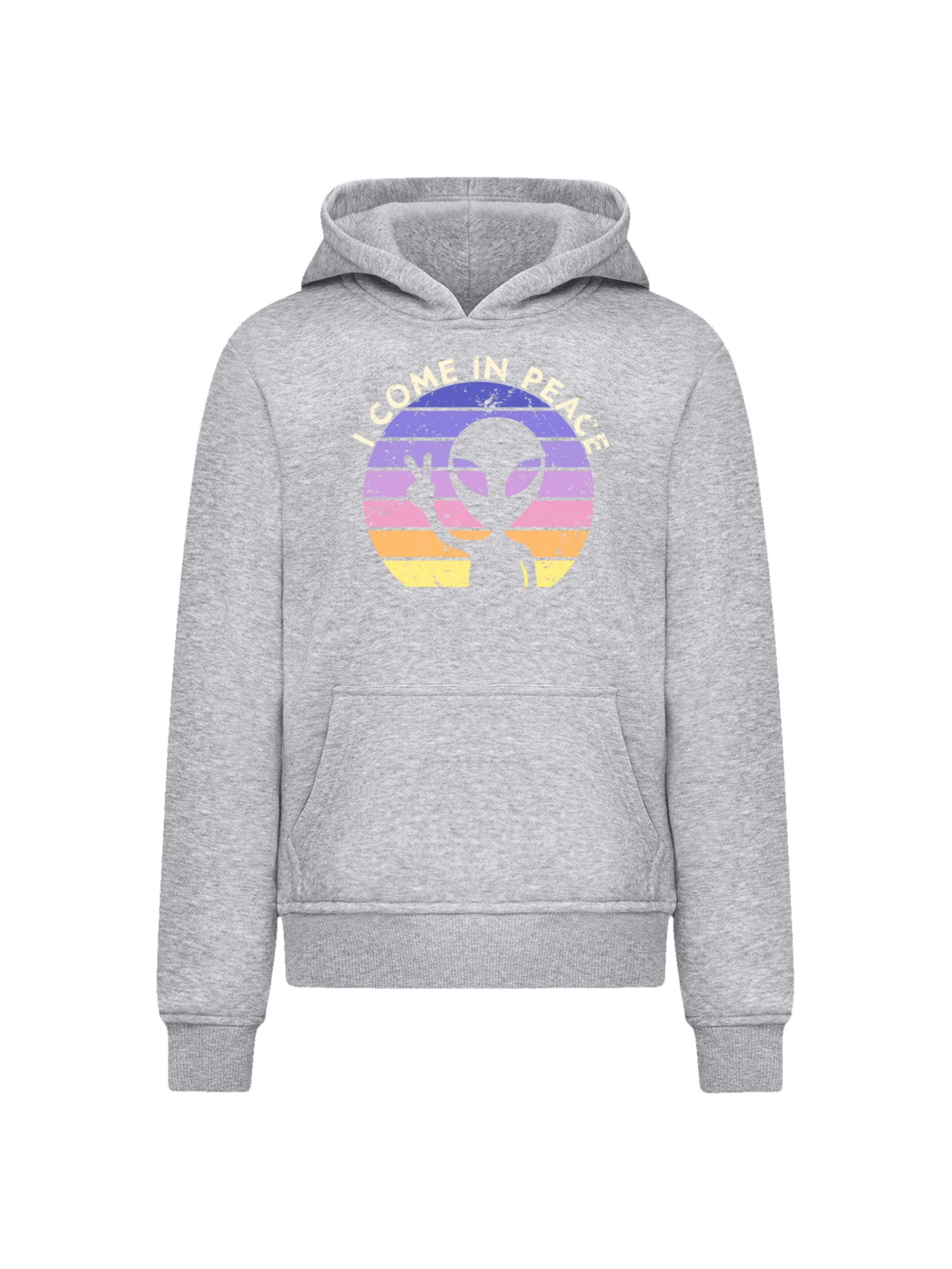 Sweat 'Alien Peace Sunset' F4NT4STIC en gris : devant