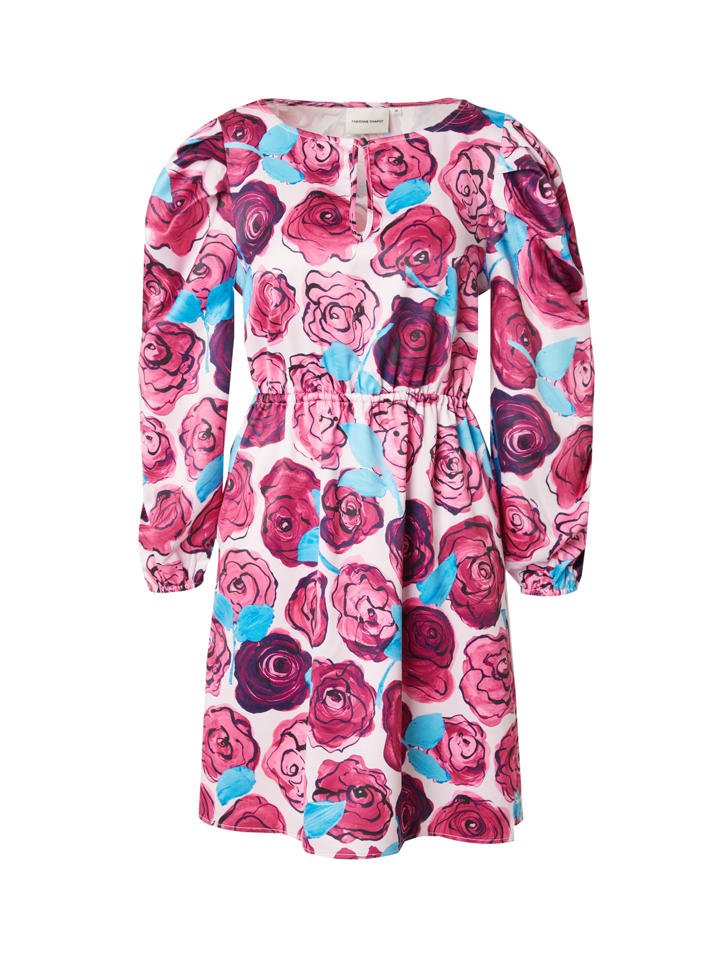 Fabienne Chapot Dress 'Sarina' in Pink: front