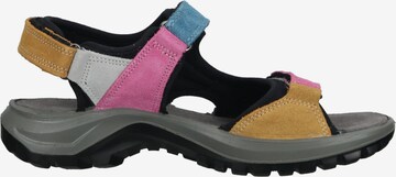 IMAC Hiking Sandals in Mixed colors