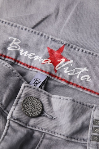 Buena Vista Pants in S in Grey