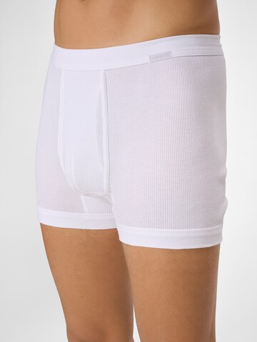 Boxers ' Premium Doppelripp ' Ammann en blanc