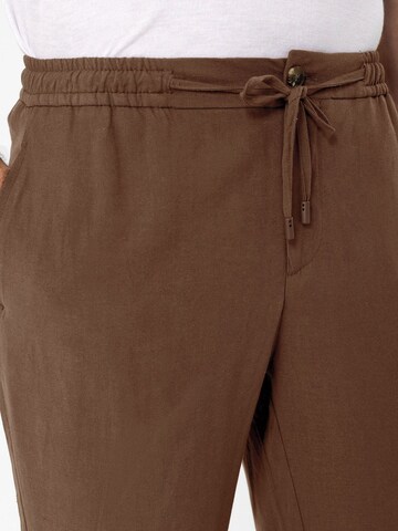 Antioch Regular Chino trousers 'Paolo' in Brown