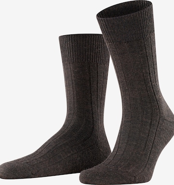 FALKE Socks 'Teppich im Schuh' in Brown: front