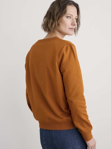 Seasalt Cornwall Sweatshirt 'Mappa' in Geel