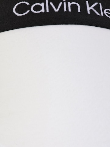 Calvin Klein Underwear Slip in Grau