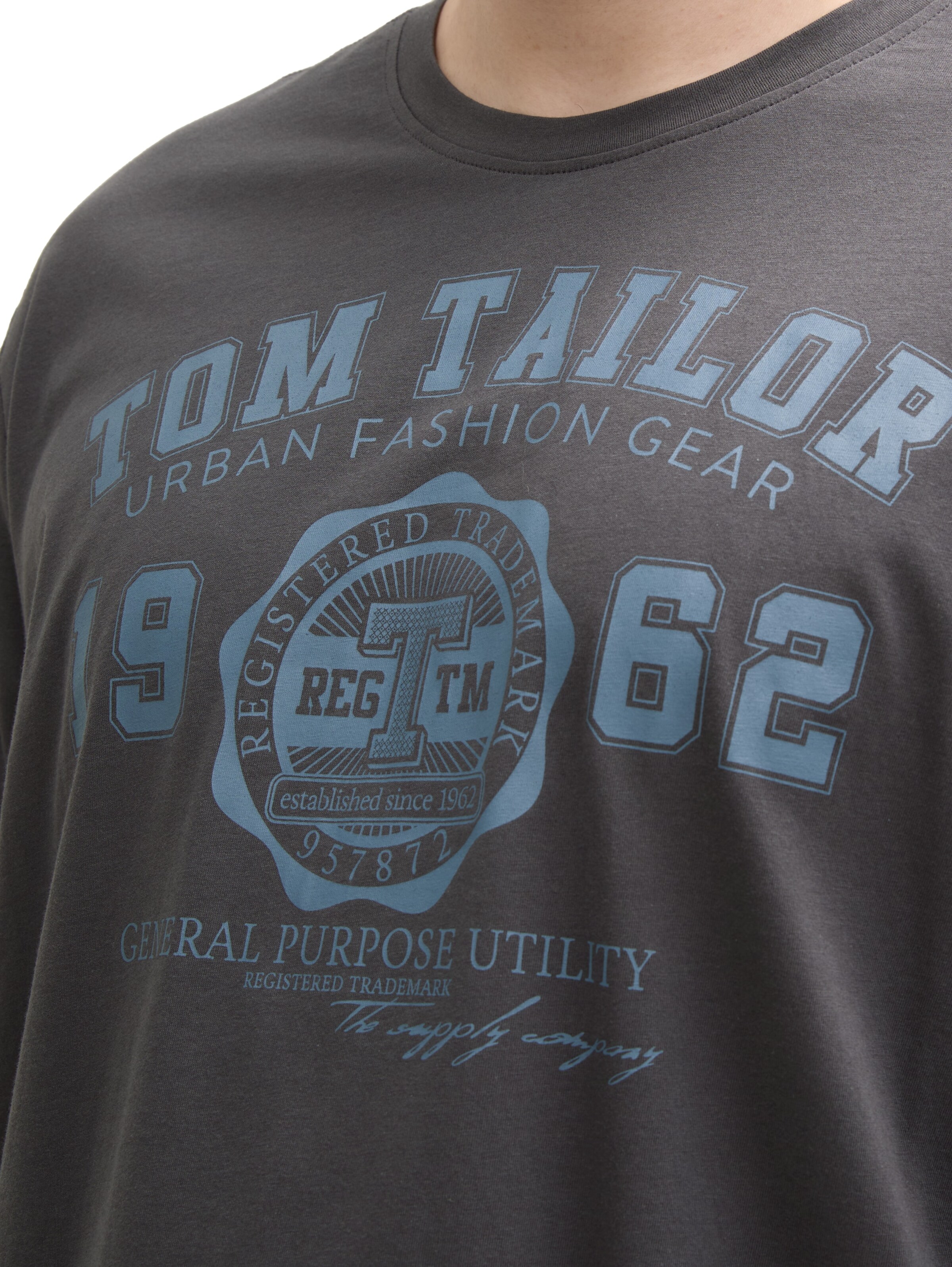 TOM TAILOR Shirt in Grey