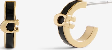 COACH Korvakoru värissä musta: etupuoli