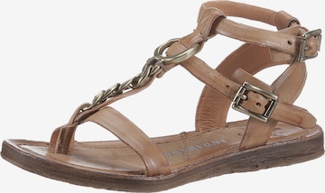 A.S.98 Strap Sandals in Brown: front