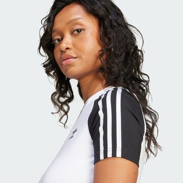 ADIDAS ORIGINALS Shirts 'Adicolor' i hvid