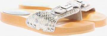 SCHOLL Sandals & High-Heeled Sandals in 38 in Silver: front