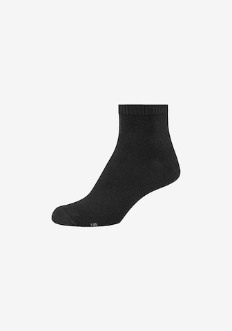 SKECHERS Socks 'Houston' in Black: front