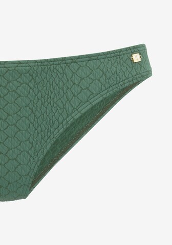 JETTE Balconette Bikini in Groen